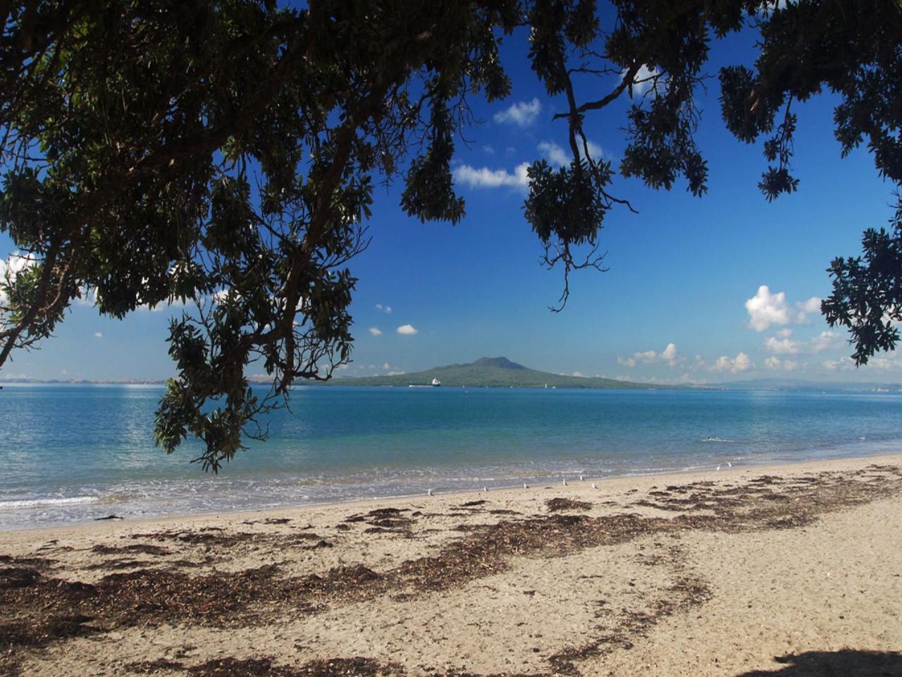 Whitby Studio - Mairangi Bay Beach أوكلاند المظهر الخارجي الصورة